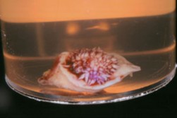 27.jpg 27.jpg